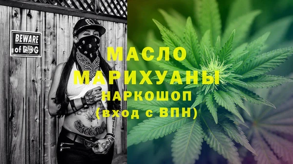 молекула духа Козловка
