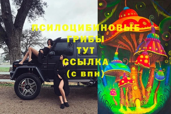 гашик Кинешма