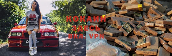 дживик Козельск