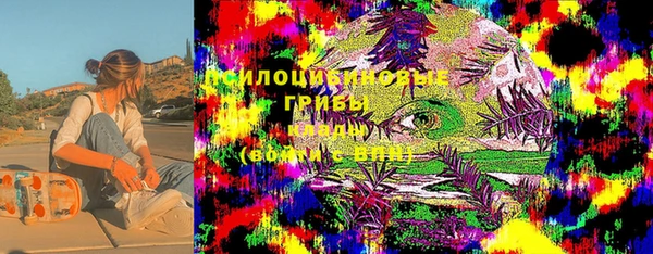 ГАЛЛЮЦИНОГЕННЫЕ ГРИБЫ Сафоново