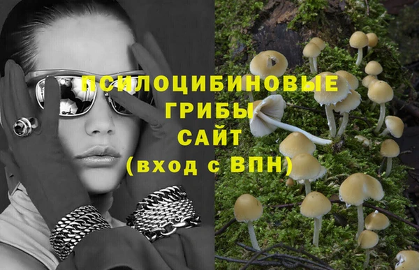 молекула духа Козловка