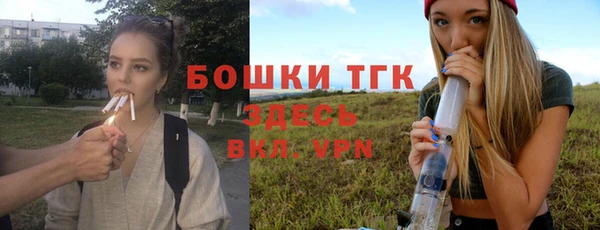 spice Киреевск